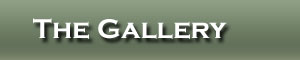 The Gallery